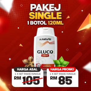 PAKEJ 1 : PAKEJ SINGLE